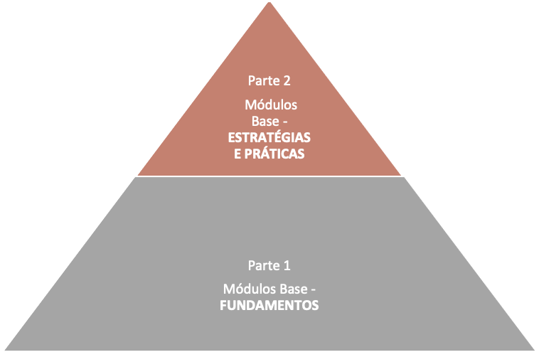 ESG na Pratica Modulos