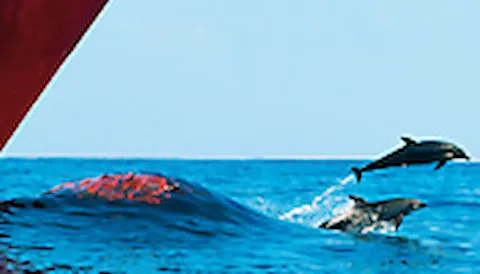 ECO Assistant – effective trim optimisation