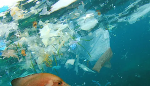 Operation Clean Sweep (OCS) - plastic pellet loss management system